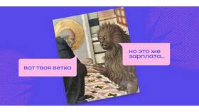 Что такое модальная зарплата простыми словами в Gipfel