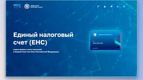 Что такое положительное сальдо единого налогового счета в Gipfel
