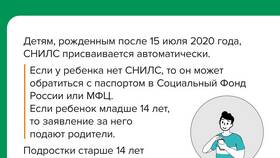 Для чего на работе требуют СНИЛС в Gipfel