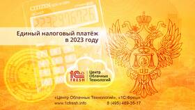 Единый налоговый платеж: состав и особенности в Gipfel