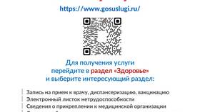 Госуслуги: Личный кабинет для организаций в Gipfel