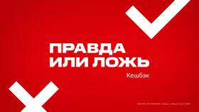 Как перевести кэшбэк МТС на другой номер в Gipfel
