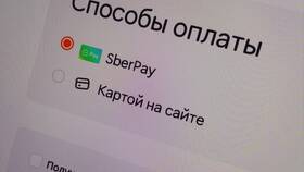 Как платят курьерам в Додо Пицца в Gipfel