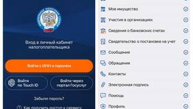 Как получить доступ к кабинету Госуслуг в Gipfel