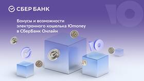 Как посмотреть баланс виртуальной карты ЮMoney в Gipfel