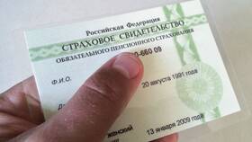 Как узнать номер паспорта через интернет в Gipfel