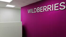 Почему на Wildberries платная доставка в пункт выдачи в Gipfel