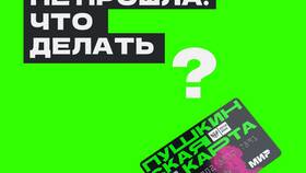 Почему не отображаются реквизиты Пушкинской карты в Gipfel