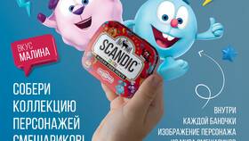 Сколько стоят конфеты Scandic в Пятерочке в Gipfel