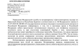 Справка о признании малоимущим через МФЦ в Gipfel