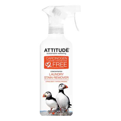 Пятновыводитель Attitude универсальный 475 мл в Gipfel