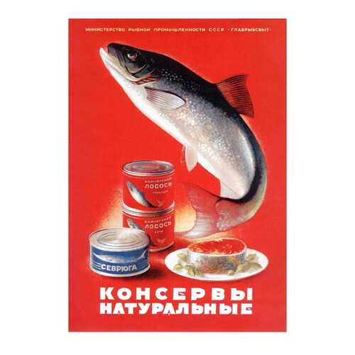 Плакат СТ-Диалог Консервы натуральные, СОВ-535, бумага, 40х60 см в Gipfel