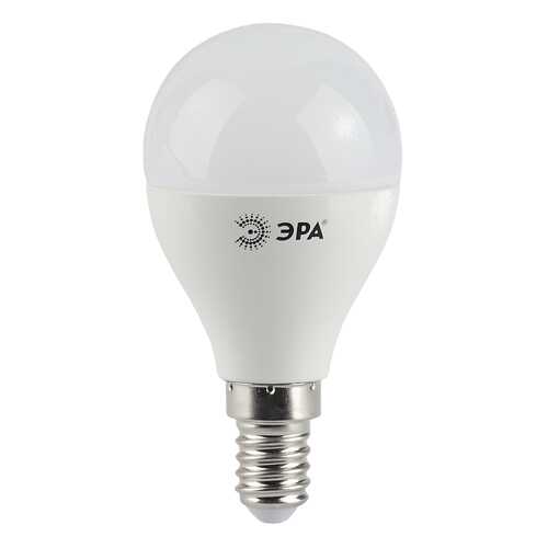 Лампочка Эра G45 E14 9W 720Lm 2700K матовый шар в Gipfel