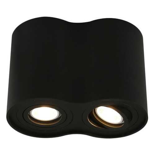 Потолочный светильник ARTE LAMP Falcon A5644PL-2BK в Gipfel