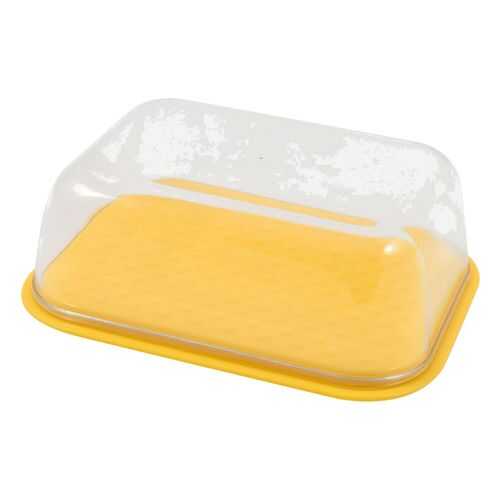 Масленка двухсторонняя Plast Team OHRA 145х110х55 мм мятная в Gipfel